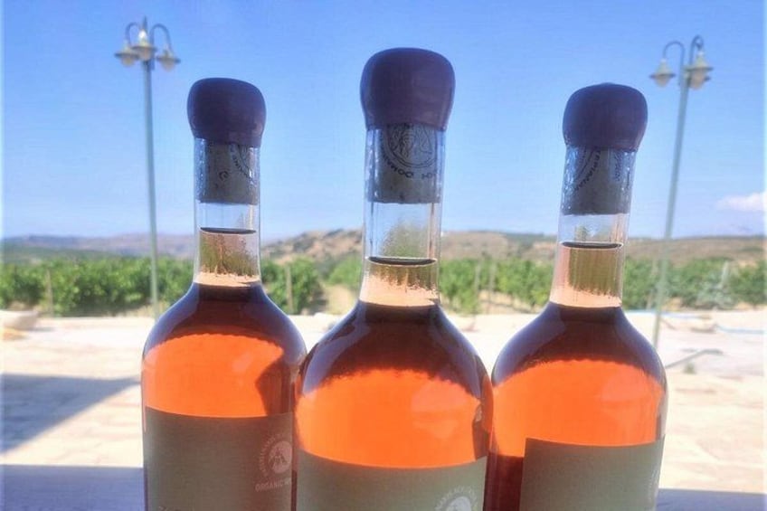 Three bottles of wine with a vineyard in the background. 5