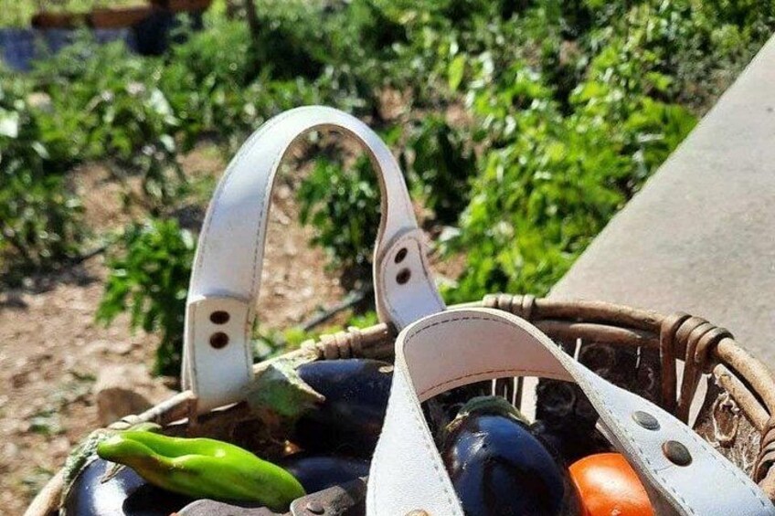 A basket with a white handle containing green peppers and tomatoes. 4