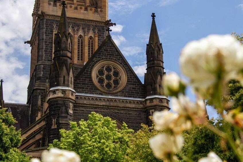 Melbourne City Highlights Small Group Tour 2