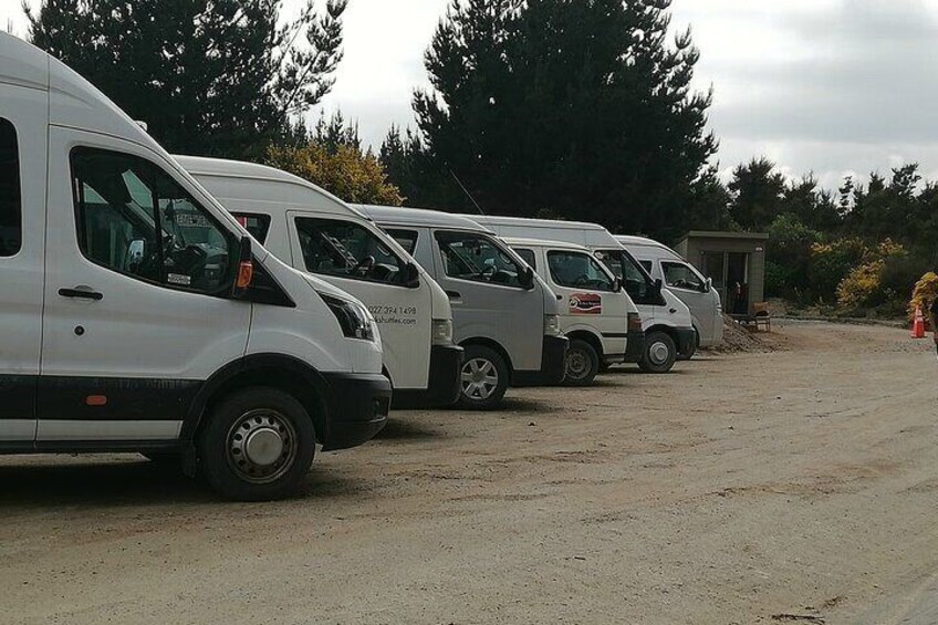A row of white vans parked in a gravel area with trees in the background. 2
