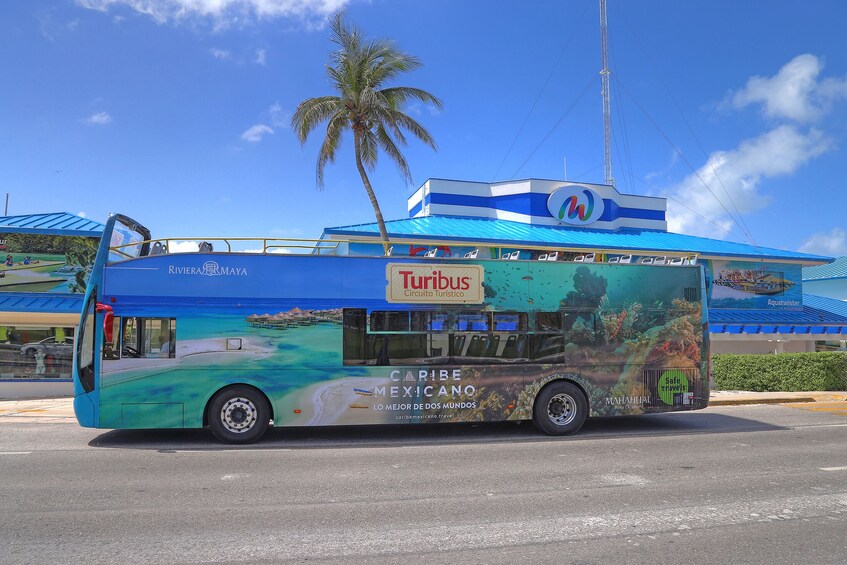 Turibus Hop-on Hop-off City Tour Cancun