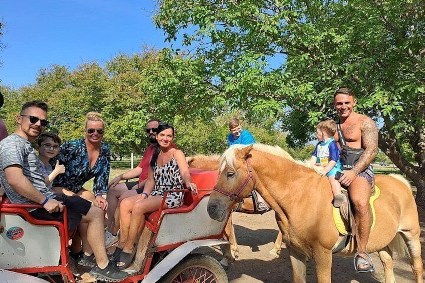 Eine Gruppe von Menschen fährt mit einer Kutsche durch einen Park. 2