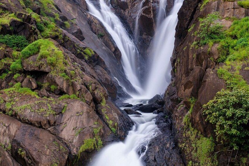 Private Dudhsagar waterfalls & Spice Plantation with Lunch from Mormugao Port 3