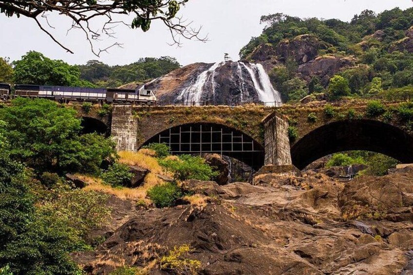 Private Dudhsagar waterfalls & Spice Plantation with Lunch from Mormugao Port 5