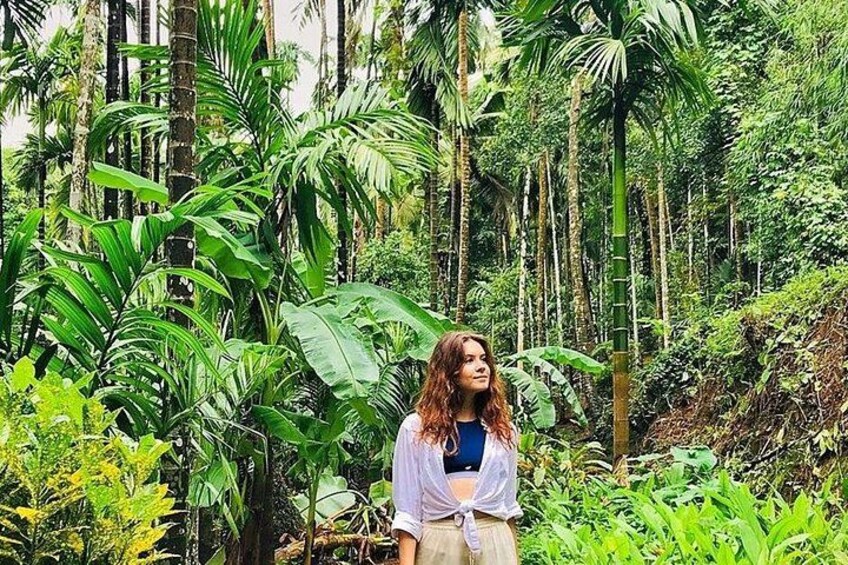 Private Dudhsagar waterfalls & Spice Plantation with Lunch from Mormugao Port 4