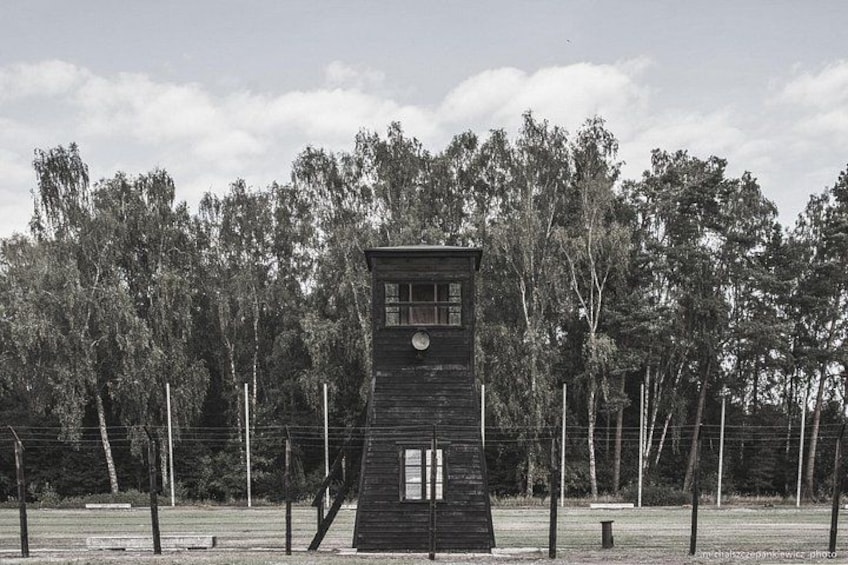 Una torre de madera con un reloj, rodeada de árboles y una valla. 4