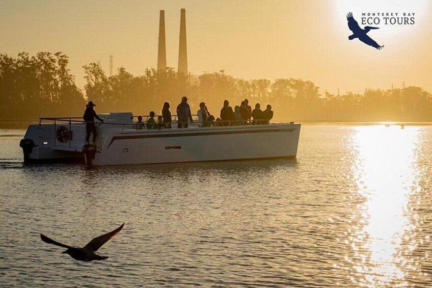 A boat with people on it, a bird flying, and a bird in flight. 2