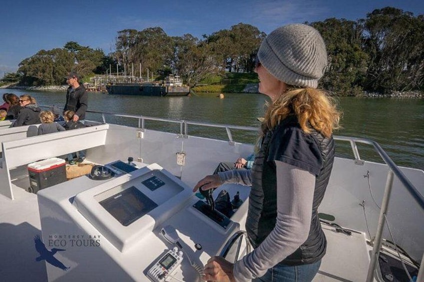 Elkhorn Slough Wildlife Tour 2