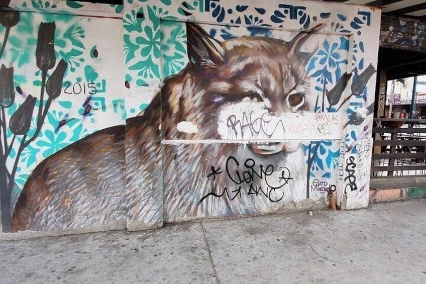 Tijuana Urban Art Walk from San Diego 2