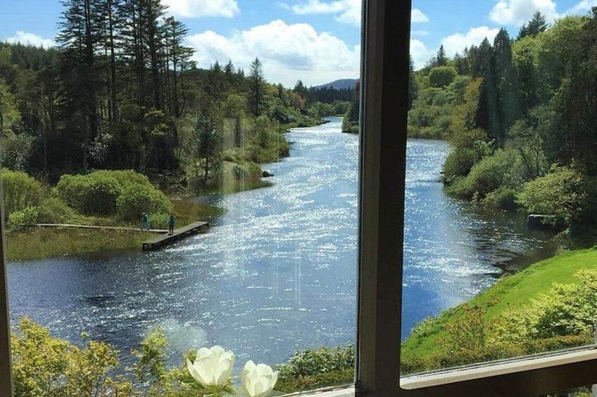 Une rivière bordée d’une forêt dense et un quai. 2