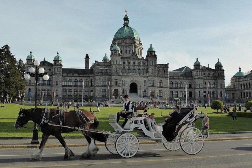 A horse-drawn carriage in front of a large historic building with domed architecture. 1