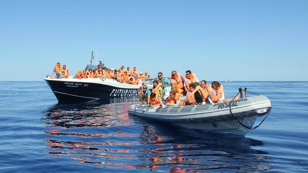 Tour groups enjoying their whale watching trip in Regional Portugal Azores Islands