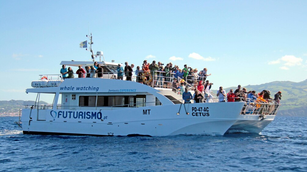 Close up of a boat on the whale watch tour in Regional Portugal Azores Islands