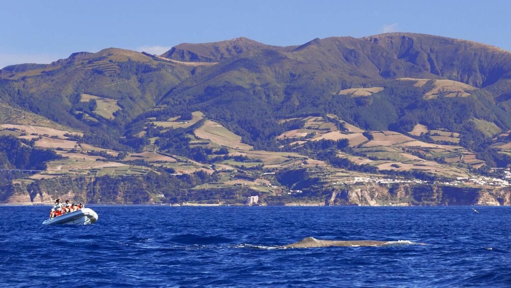 Panoramic view of Regional Portugal Azores Islands