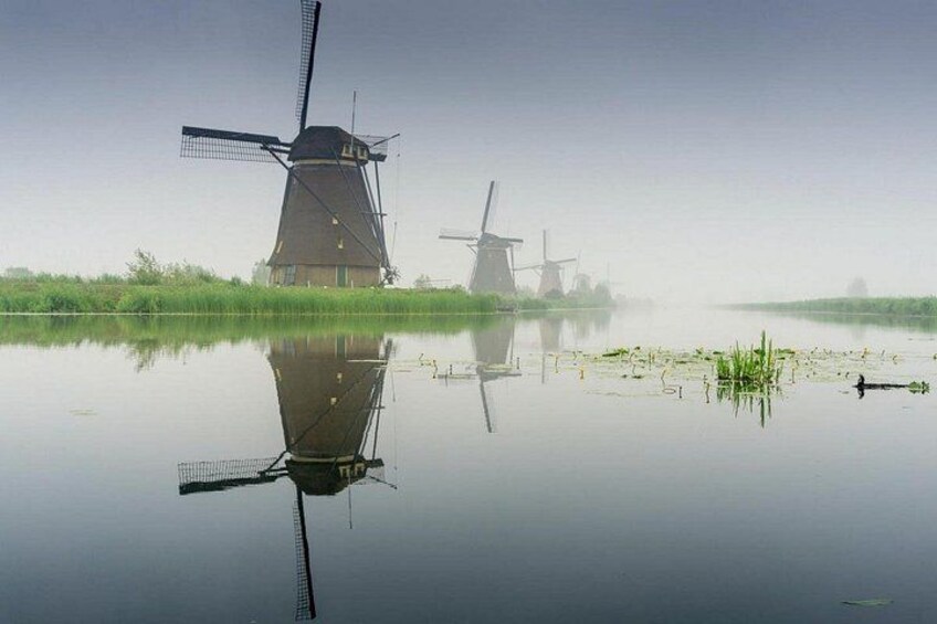 Private tour from Rotterdam to Windmills of Kinderdijk & Gouda Cheese Experience 5