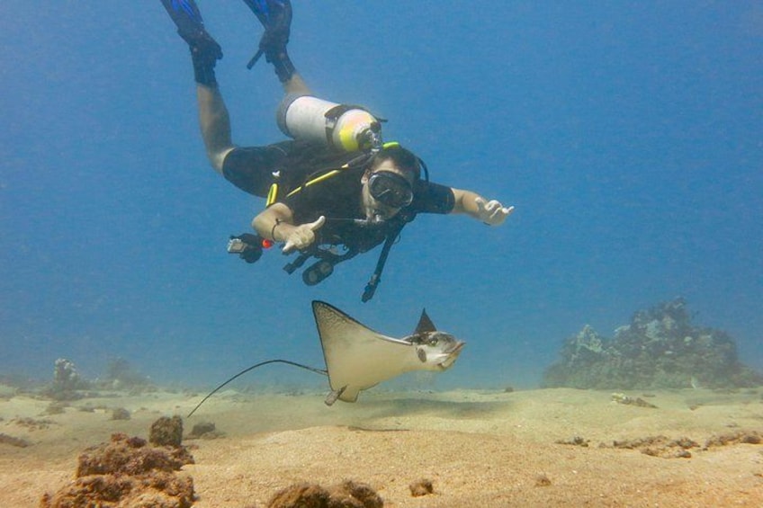 A diver underwater with a stingray nearby. 2