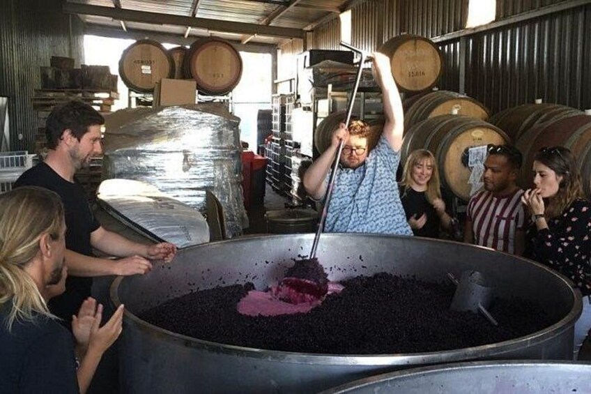 A group of people at a winery, with barrels and a large container of grapes in the background. 4