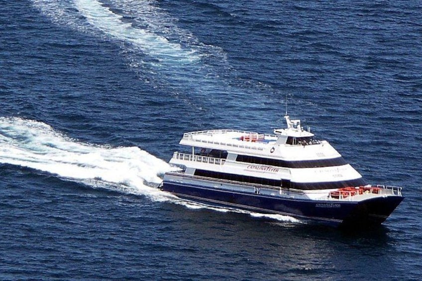 A large white and blue cruise ship sailing on the ocean. 4