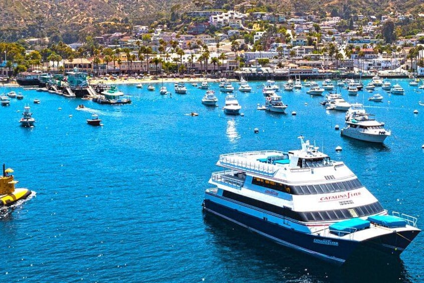 Un puerto deportivo con numerosas embarcaciones, un gran ferry llamado 'Catalina Flyer' y un pueblo costero al fondo. 5