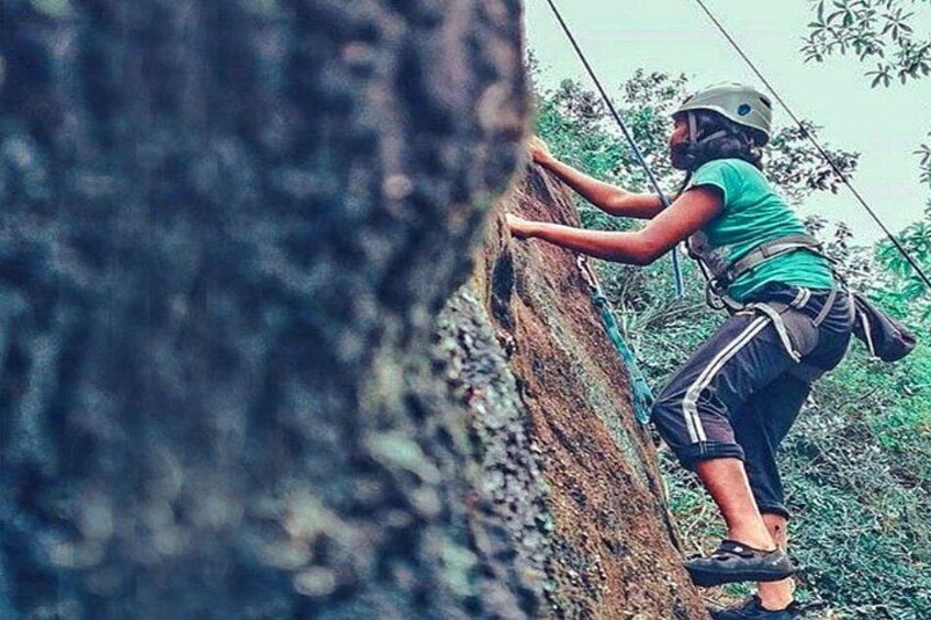 A person climbing a tree. 2