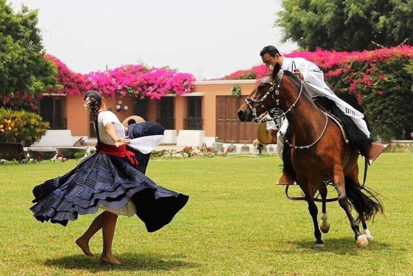 Dancing Horse Show & Lunch Buffet + Pachacamac Inca Remains 