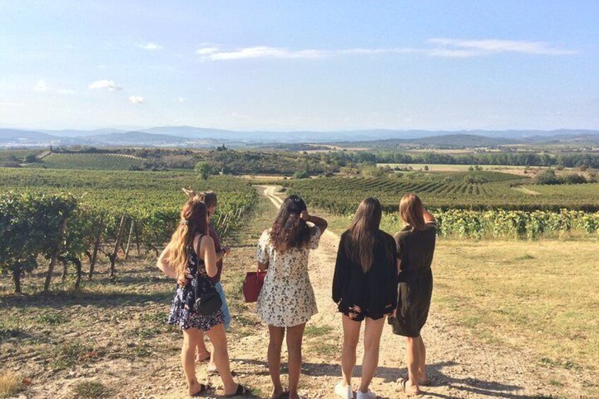 Wine tour