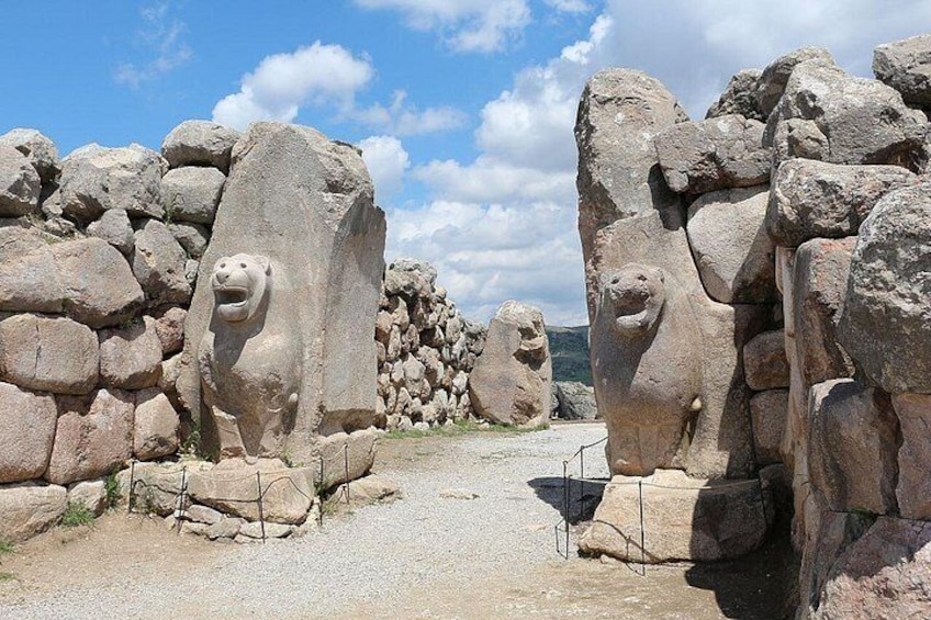 Un camino flanqueado por grandes esculturas de leones de piedra. 1