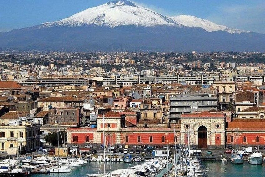 A coastal cityscape with a prominent snow-capped mountain in the background. 1