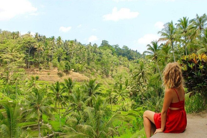 A woman in a red dress sitting on a path surrounded by lush greenery and palm trees. 3