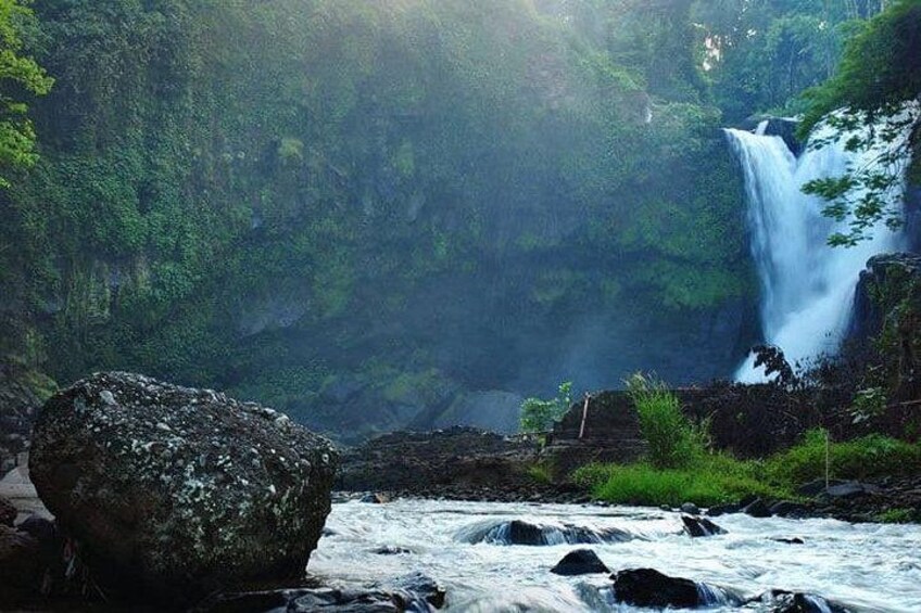 A waterfall in a forested area with a large rock in the foreground. 2