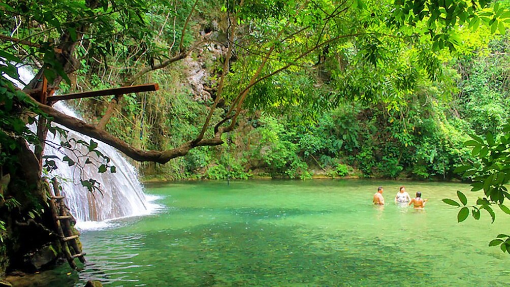 Una cascada en un bosque verde y frondoso con agua cristalina. 1