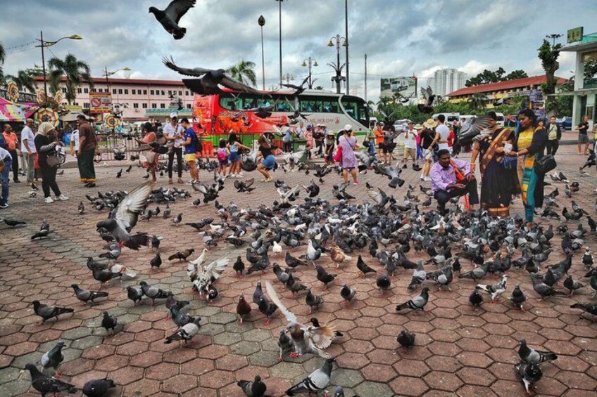 A public square with a large gathering of pigeons, people walking, and a bus in the background. 2