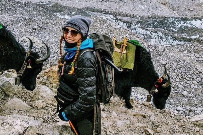 Everest yaks express 5