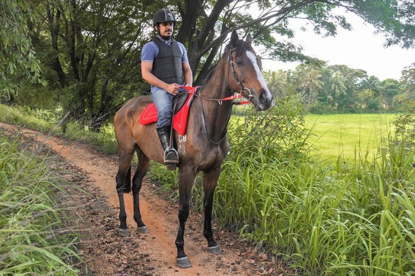 A person riding a horse on a dirt path surrounded by greenery. 1