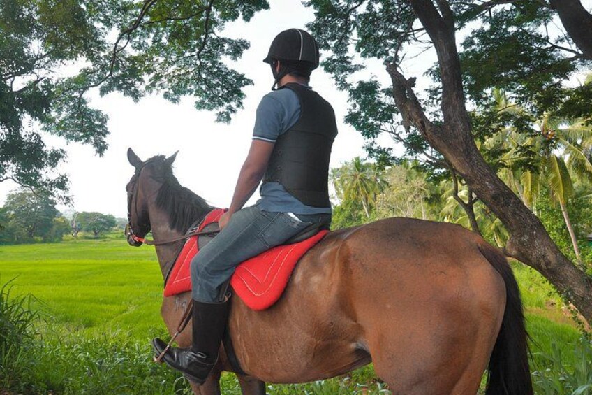 A person riding a horse in a green field with trees in the background. 5