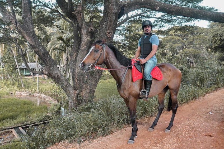 A person riding a horse on a dirt path with trees and a house in the background. 3