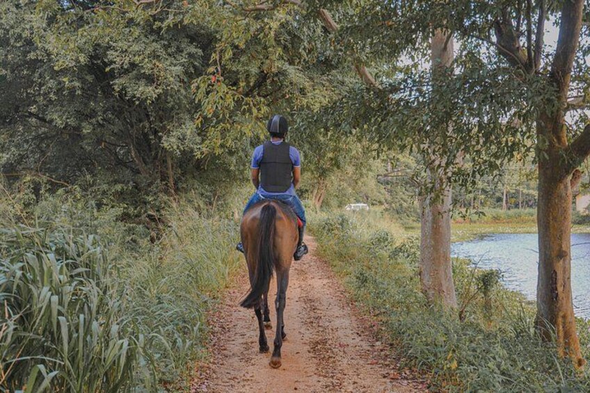 A person riding a horse on a dirt path surrounded by greenery and trees. 4