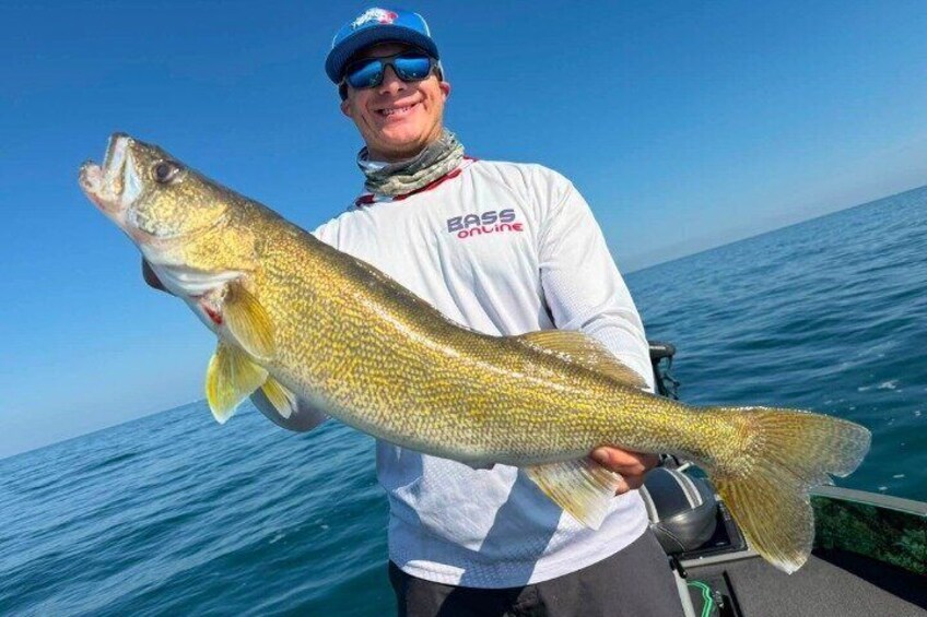 Lake Erie Walleye Fishing Charters 5