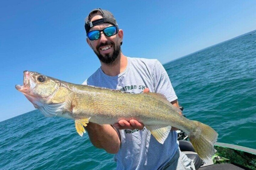 Lake Erie Walleye Fishing Charters 3