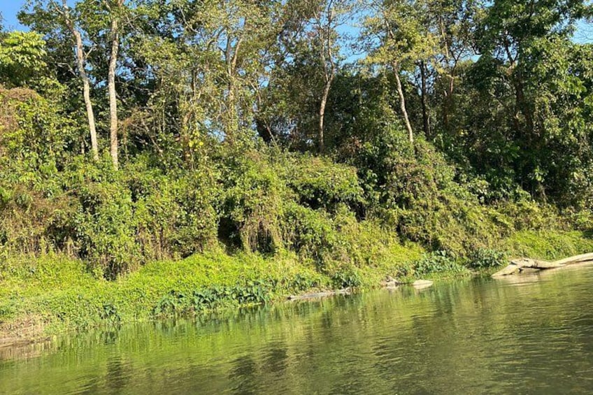 A calm river with dense greenery and trees along the banks. 2