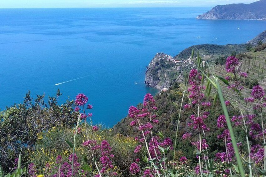 Cinque Terre unforgettable hiking experience