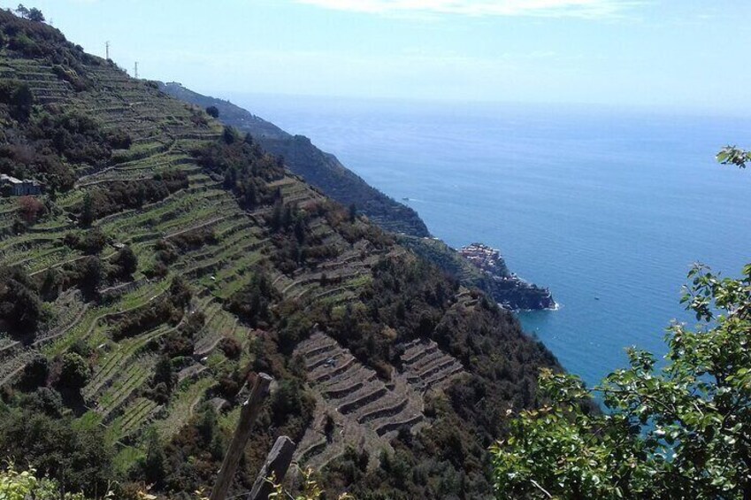 Cinque Terre unforgettable hiking experience