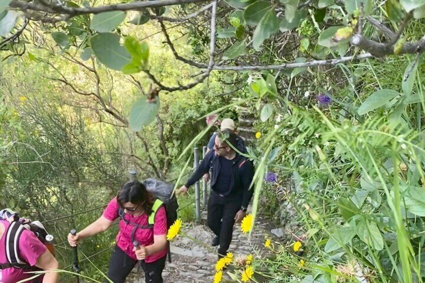 Cinque Terre unforgettable hiking experience