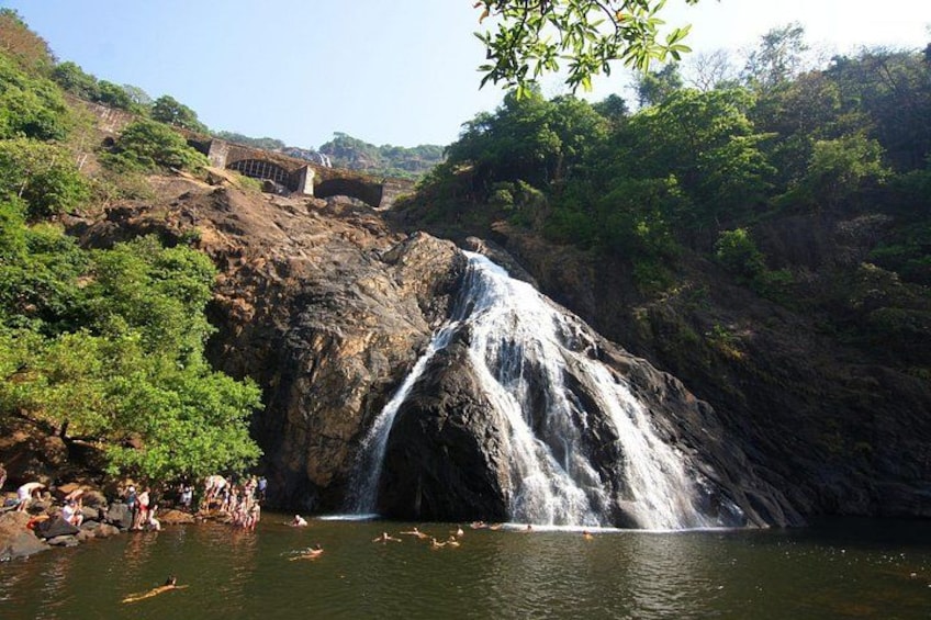 Full-Day Tour Old Goa Dudhsagar Falls and Spice Plantation 3
