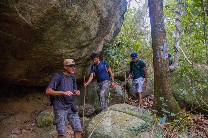Des randonneurs progressent sur un terrain rocheux, parsemé de gros blocs et recouvert d’une végétation dense. 2
