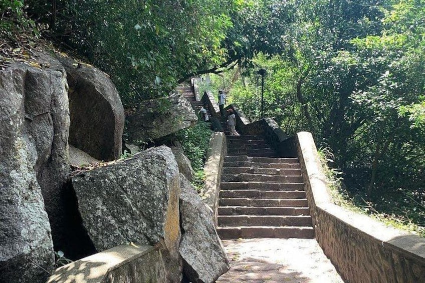 Sigiriya & Dambulla Cave Temple Day Trip from Colombo 3