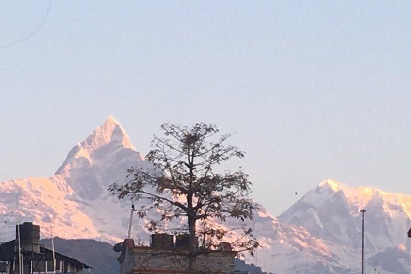 A snow-covered mountain peak, a tree, and a building in the foreground. 4