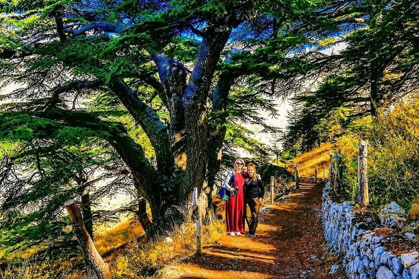 A forested path with a large tree, a stone wall, and a person in red. 2