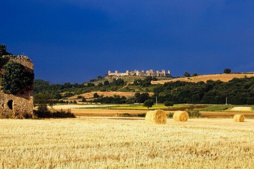 UrbExcursions Livorno ShoreExcursion: Siena Monteriggioni San Gimignano with Lunch & WineTasting