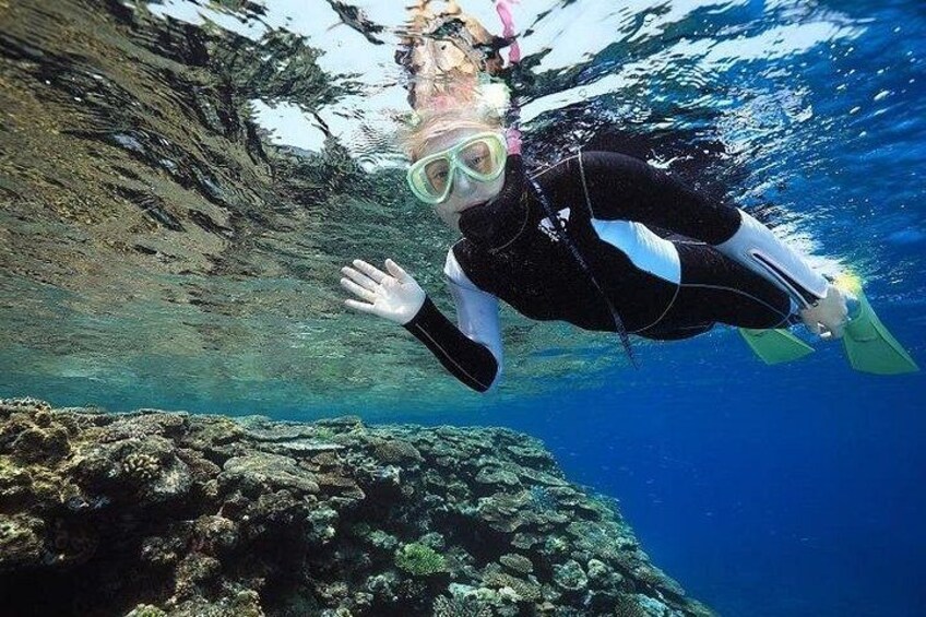 Naha: Full-Day Snorkeling Experience in the Kerama Islands, Okinawa 2